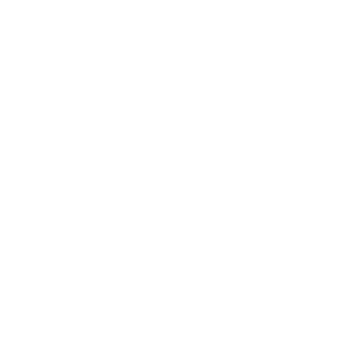 Discord Icon