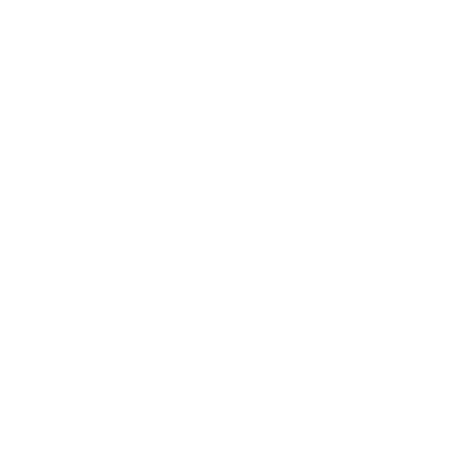 Tumblr Icon